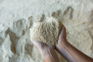 Close up of soy flour in the hands of farmer. Feed for cows and calves