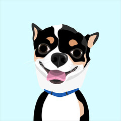 Vector of close up head of tricolor (black, brown, white) chihuahua , toy breed small dog, with smiling face for funny and happy expression, flat style illustration isolated in blue sky background