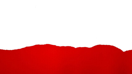 Torn red paper on white background. Concept for presentation and education