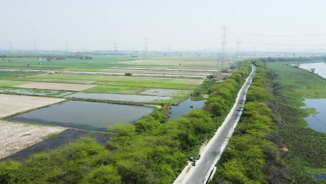 Aerial drone shot of a beautiful road surrounded by agricultural land on one side and ocean on the other side.
