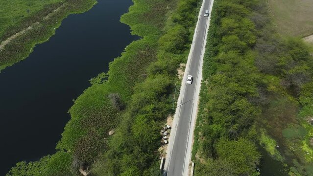Aerial drone shot of a white car riding on a road covered with trees in Delhi.