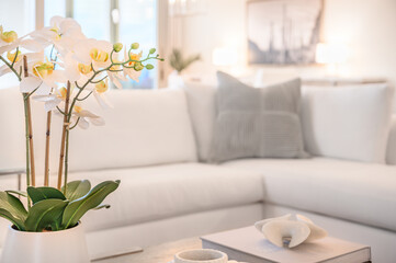 Fototapeta na wymiar White orchids in living room