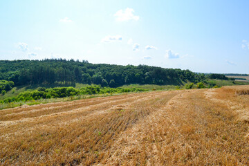 landscape in the country