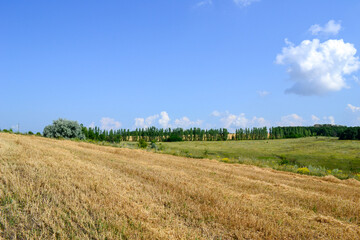 Obraz premium field and blue sky