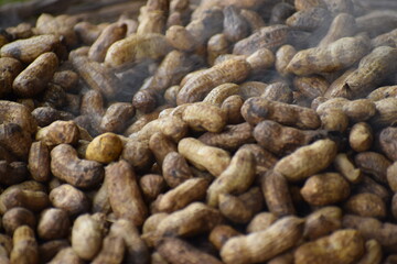 close up of peanuts