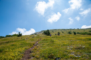 landscape in the mountains
