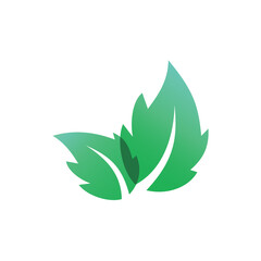 Leaves Illustration Logo Template vector