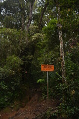 trail sign in the forest