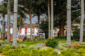 Fototapeta na wymiar View through palm trees of Bolivar Square to colonial houses, Alento, Cocora Valley, Columbia