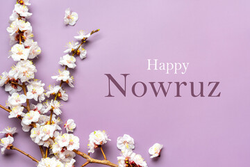 Sprigs of the apricot tree with flowers on pink background Text Happy Nowruz Holiday Concept of spring came Top view Flat lay Hello march, april, may, persian new year - 490453040