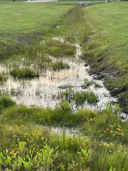river in the mountains