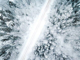 Winter snow-covered road top view . Winter landscape. Winter background. Snow-covered Christmas trees.