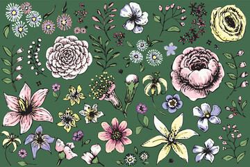 Flowering collection of flower heads and herbs on green background. Black outlines, color fills and green background are on separate layers - 490454440