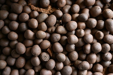 sponge cray soil in pot for plant tree