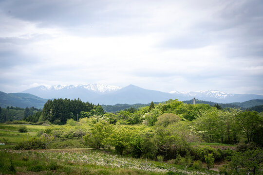 新緑と山並み