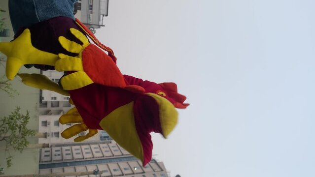 A close-up of a hand puppet of a chicken or hen. Bangladesh.