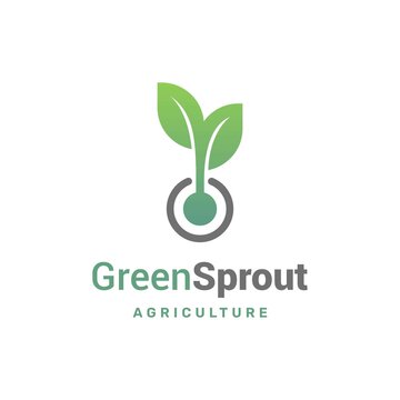 Green plant seed growing sprout grow growth logo icon vector