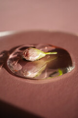 A drop of cosmetic gel with a flower on a pink background.