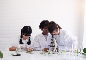 Group of diversity children scientists learning and see more details with microscope in the laboratory. selective focus.