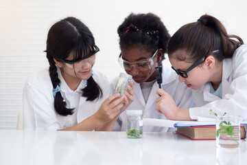 Group of little students child studying plant and doing botany science research in glassware. Education Concept.
