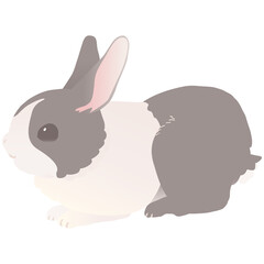 パンダウサギ ダッチうさぎ かわいいうさぎ  ベクターイラスト