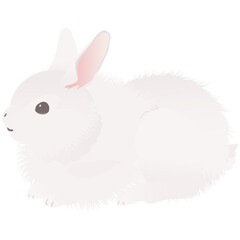 フワフワのアンゴラウサギ, かわいいうさぎ  ベクターイラスト