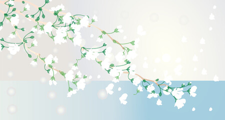 満開の桜ベクターイラストと白グラデーション背景 Blooming Sakura in a graded background