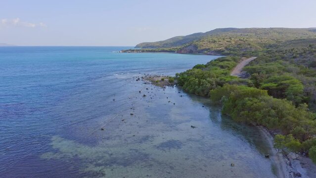 Untouched mangrove coast landscape on Caribbean island, aerial