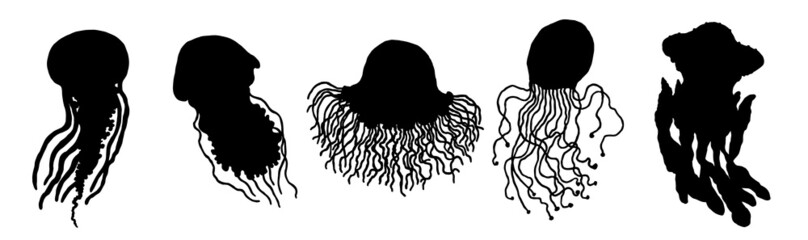 Set silhouette jellyfishes different forms. Vector icons wild ocean animals underwater life doodle isolated illustrations.