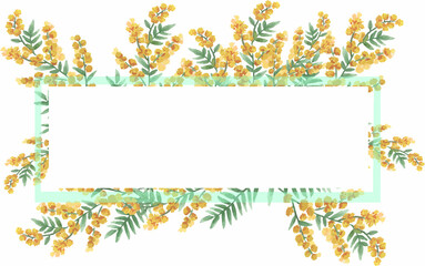 Watercolor mimosa flowers frame. Spring design.Border greeting card. Hand painted illustration isolated on white background