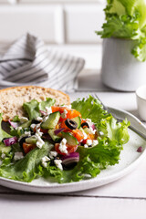 Plate with greek salad for dinner