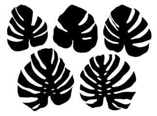 Set of black silhouettes of monstera leaves