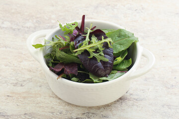 Vegetarian mix green vitamin salad