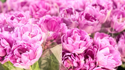 Peonies in the store. Flowers background. Women's day concept