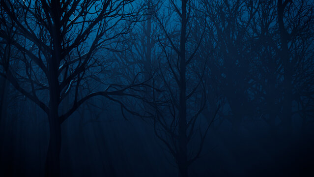 Halloween Background.