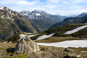 Hiking through the Aosta mountain range in late spring with typical rocks covered in orange moss