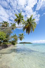 Tropical beach on Moorea island, French Polynesia
