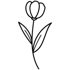 Obraz premium leaves and flowers with hand drawn