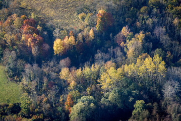 Fototapeta na wymiar vue aérienne d'une forêt à l'automne à Vierzy dans l'Aisne en France 