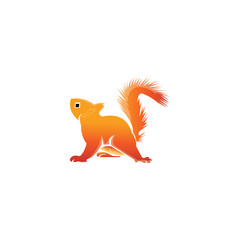 squirrel logo illustration color design vector