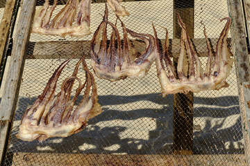 sun-dried octopus on wooden racks on the beach in Nazaré, Portugal