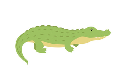 Crocodile cute cartoon alligator. Vector illustration of an African predator animal isolated on white.