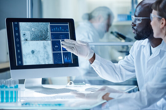 African male scientist pointing at computer monitor with micro image of bacterium and discussing it with his colleague