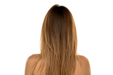 Fototapeta premium Rear view of a young woman with long straight hair