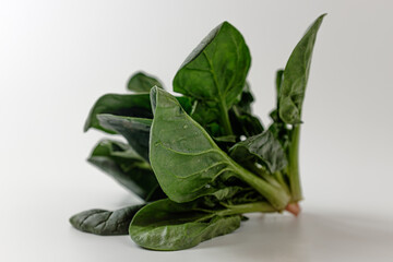 Raw spinach on white background