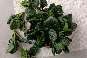 Fresh, fragrant green vegetable spinach