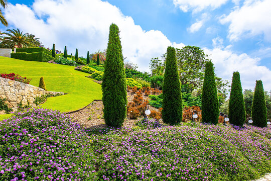 The flower beds and cypress trees