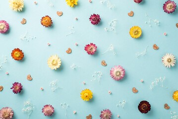Fototapeta premium Top view photo of the many different cute flowers and small wooden confetti in shape of hearts scattered on the pastel light blue background
