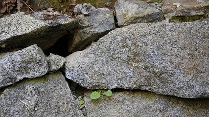 水路側の石垣３