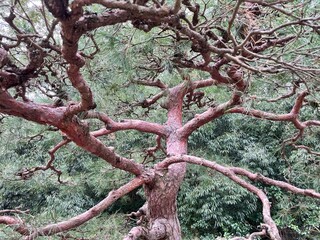 素敵な公園